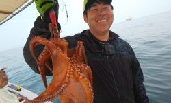 恵比寿丸(兵庫) 釣果