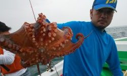 恵比寿丸(兵庫) 釣果