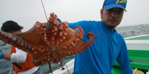 恵比寿丸(兵庫) 釣果