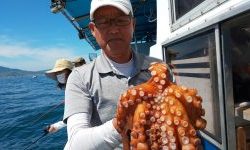 恵比寿丸(兵庫) 釣果