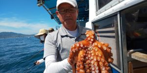 恵比寿丸(兵庫) 釣果