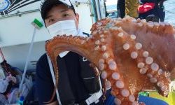 恵比寿丸(兵庫) 釣果