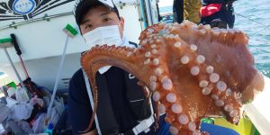 恵比寿丸(兵庫) 釣果