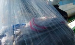 恵比寿丸(兵庫) 釣果