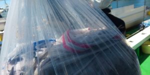 恵比寿丸(兵庫) 釣果