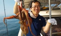 恵比寿丸(兵庫) 釣果