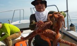 恵比寿丸(兵庫) 釣果