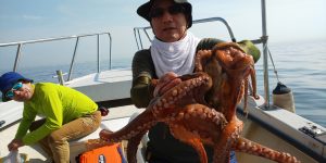 恵比寿丸(兵庫) 釣果