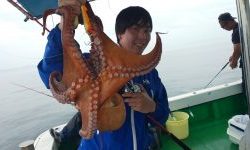 恵比寿丸(兵庫) 釣果