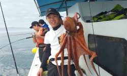 恵比寿丸(兵庫) 釣果