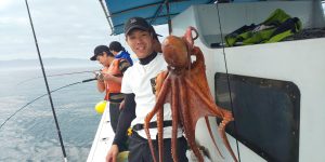 恵比寿丸(兵庫) 釣果