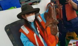 恵比寿丸(兵庫) 釣果