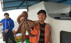 恵比寿丸(兵庫) 釣果