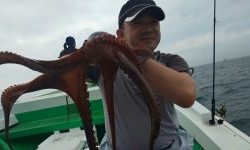 恵比寿丸(兵庫) 釣果