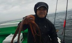 恵比寿丸(兵庫) 釣果