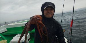 恵比寿丸(兵庫) 釣果