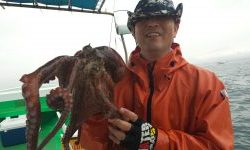 恵比寿丸(兵庫) 釣果