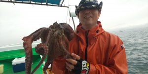 恵比寿丸(兵庫) 釣果