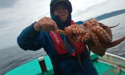 恵比寿丸(兵庫) 釣果