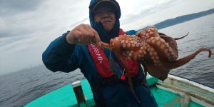 恵比寿丸(兵庫) 釣果