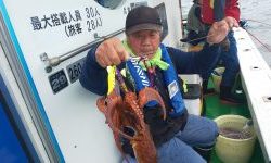 恵比寿丸（兵庫） 釣果