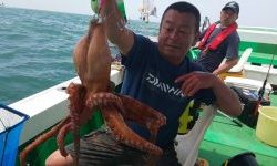 恵比寿丸（兵庫） 釣果