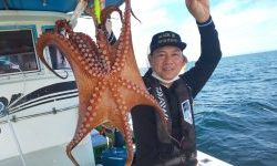 恵比寿丸(兵庫) 釣果