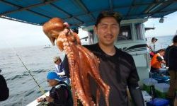 恵比寿丸(兵庫) 釣果