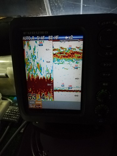 フィッシングボート空風(そらかぜ) 釣果