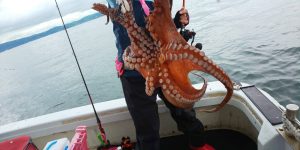 恵比寿丸(兵庫) 釣果