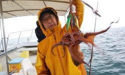 恵比寿丸(兵庫) 釣果