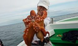 恵比寿丸(兵庫) 釣果