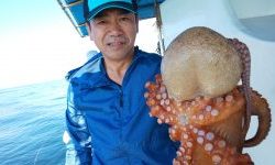 恵比寿丸(兵庫) 釣果