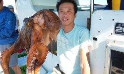 恵比寿丸(兵庫) 釣果