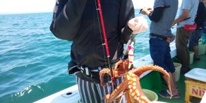 恵比寿丸(兵庫) 釣果