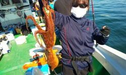 恵比寿丸(兵庫) 釣果