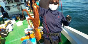 恵比寿丸(兵庫) 釣果