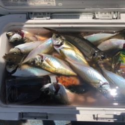 深川 吉野屋 釣果