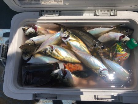 深川 吉野屋 釣果