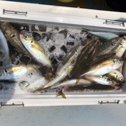 深川 吉野屋 釣果