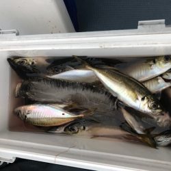 深川 吉野屋 釣果