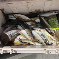 深川 吉野屋 釣果