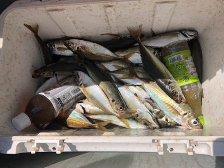 深川 吉野屋 釣果