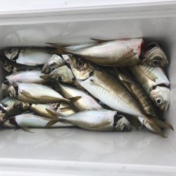 深川 吉野屋 釣果