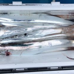 深川 吉野屋 釣果