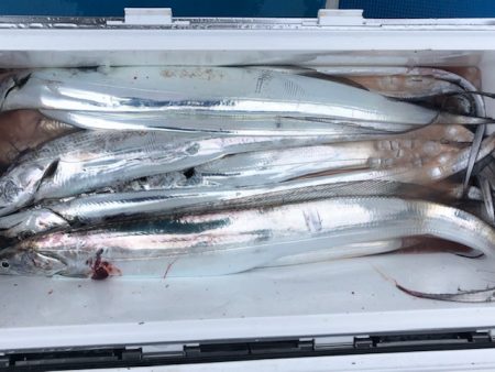 深川 吉野屋 釣果