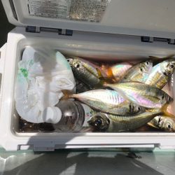 深川　吉野屋 釣果