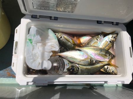 深川　吉野屋 釣果