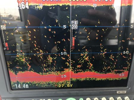 深川 吉野屋 釣果