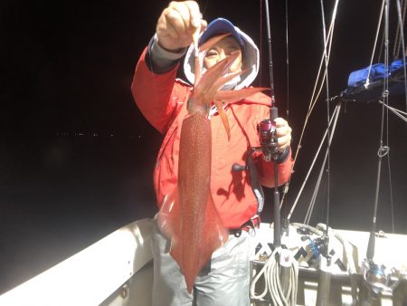 オーシャンズ　京都 釣果